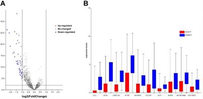 Constructing a molecular subtype model of colon cancer using machine learning 